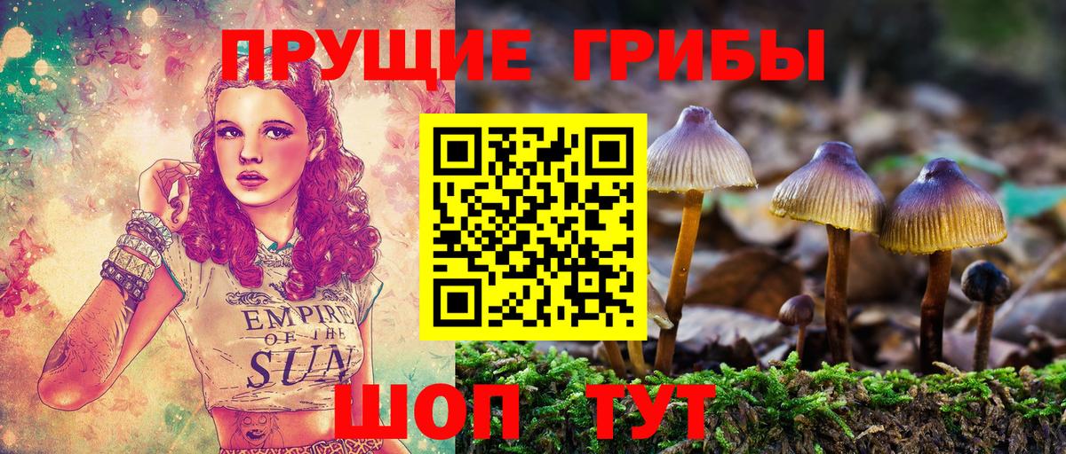 Апатиты  Галлюциногенные грибы Magic Shrooms  Вход с VPN  Псилоцибиновые грибы прущие грибы 